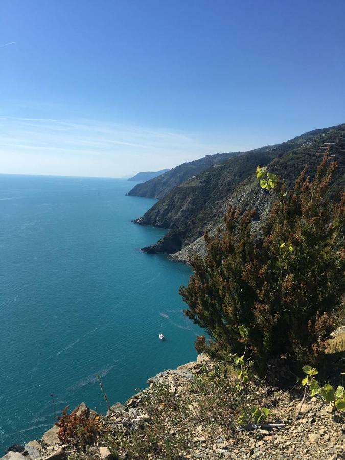 Agave Di Lerici Βίλα Εξωτερικό φωτογραφία