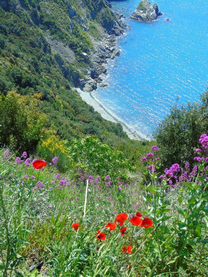 Agave Di Lerici Βίλα Εξωτερικό φωτογραφία