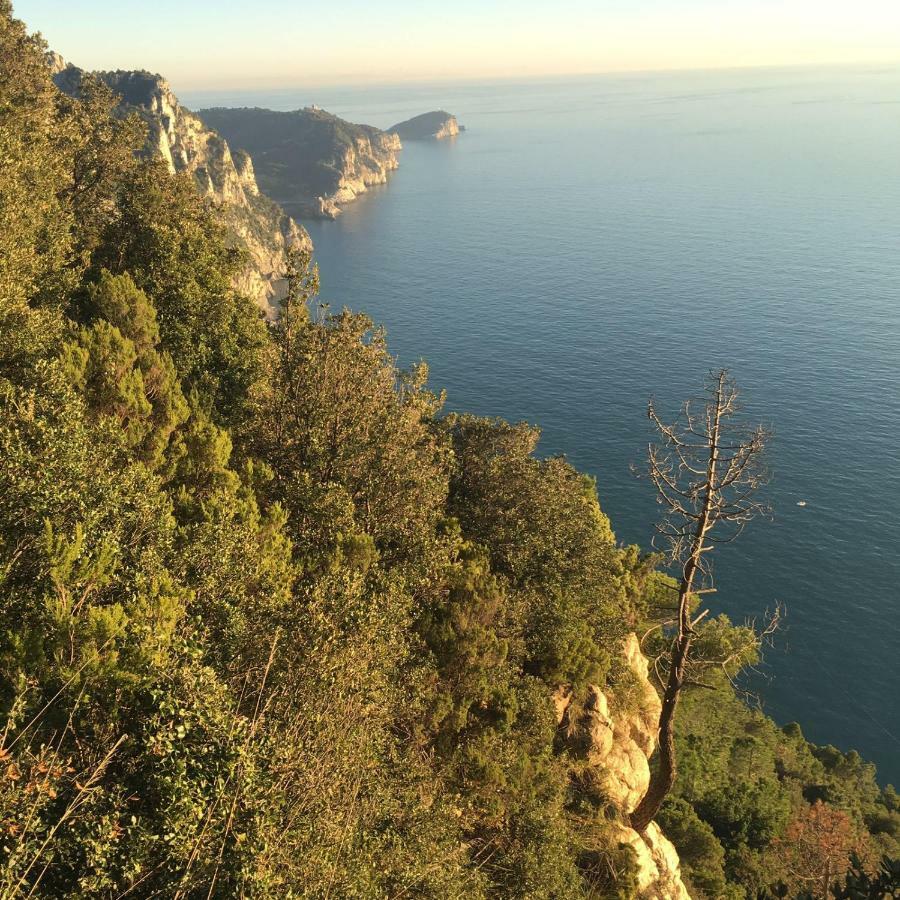 Agave Di Lerici Βίλα Εξωτερικό φωτογραφία